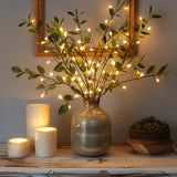 Luz dos fada Olive Vine